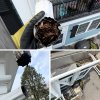 The Ultimate Guide to Gutter Cleaning in Newton, MA
